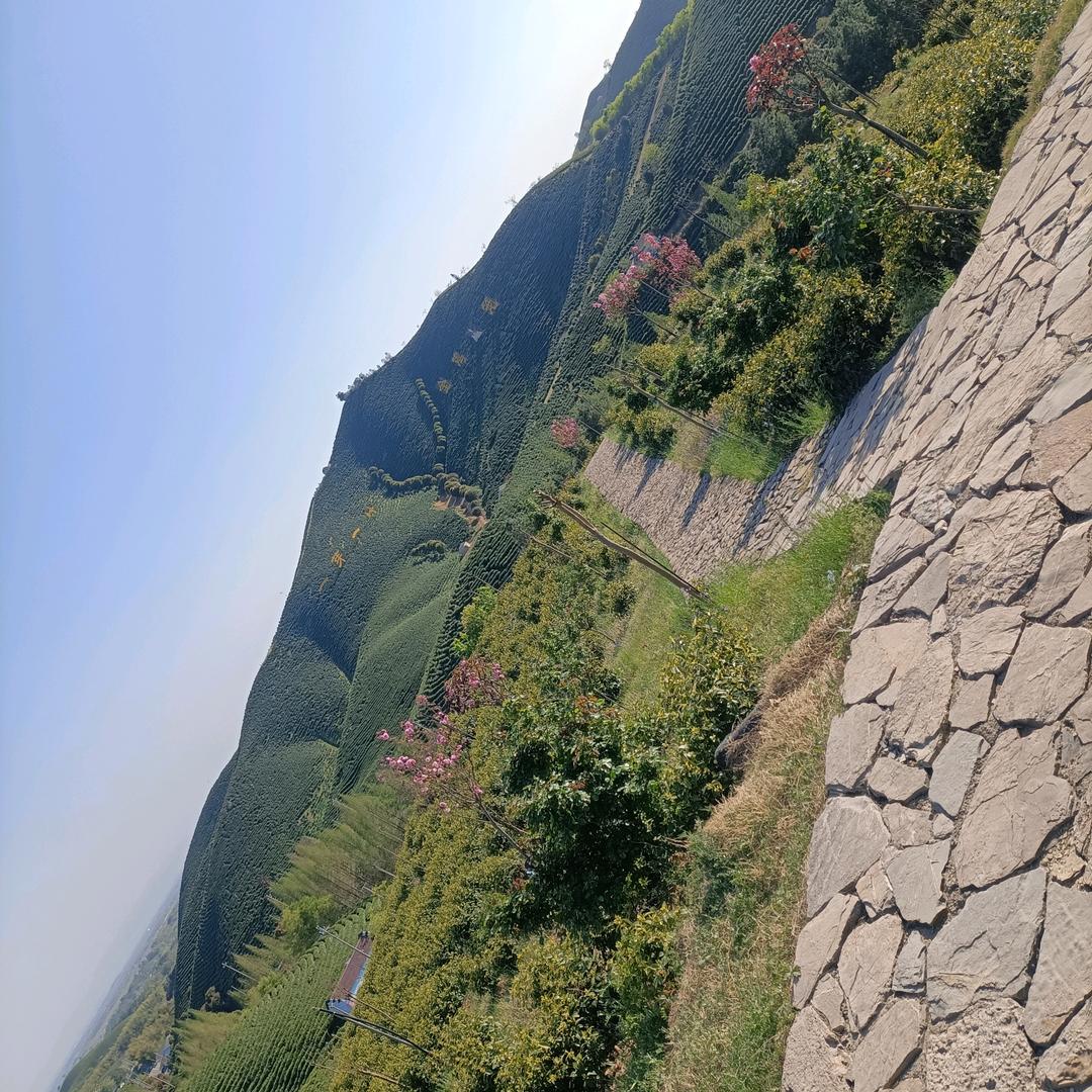 ╭(╯ε╰)╮一叶知秋^O^