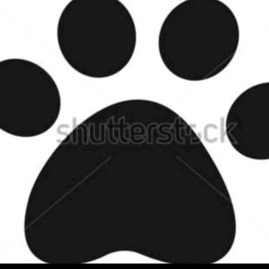 杭州富阳爱它犬舍