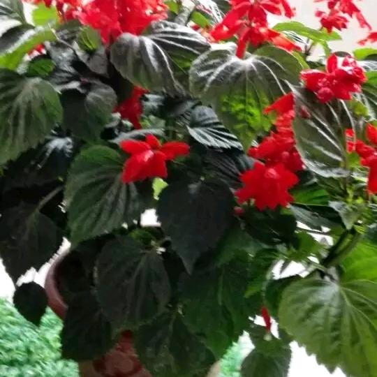 顺其自然