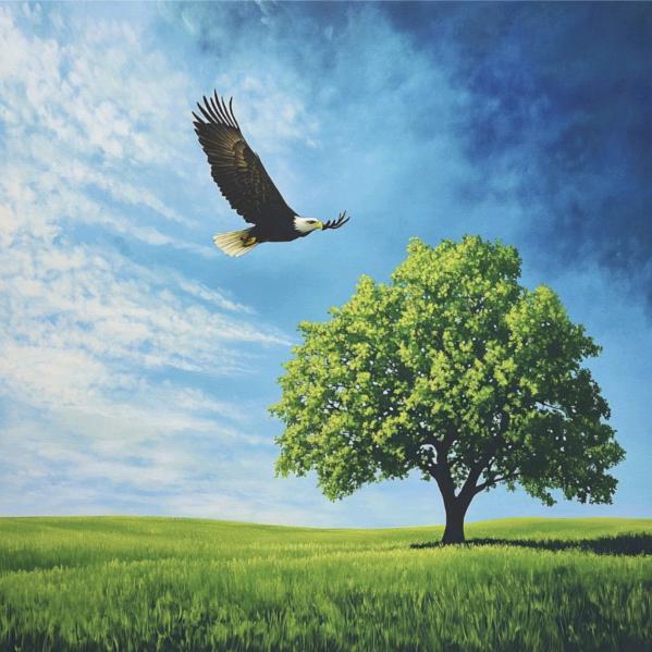 万花汇窗帘家纺