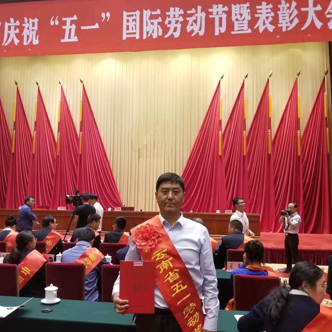 万家红樱花苗木