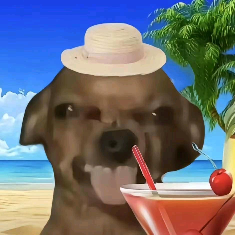 喜多多一个乐子玩意𖤣𖥧𖥣｡𖤣𖥧