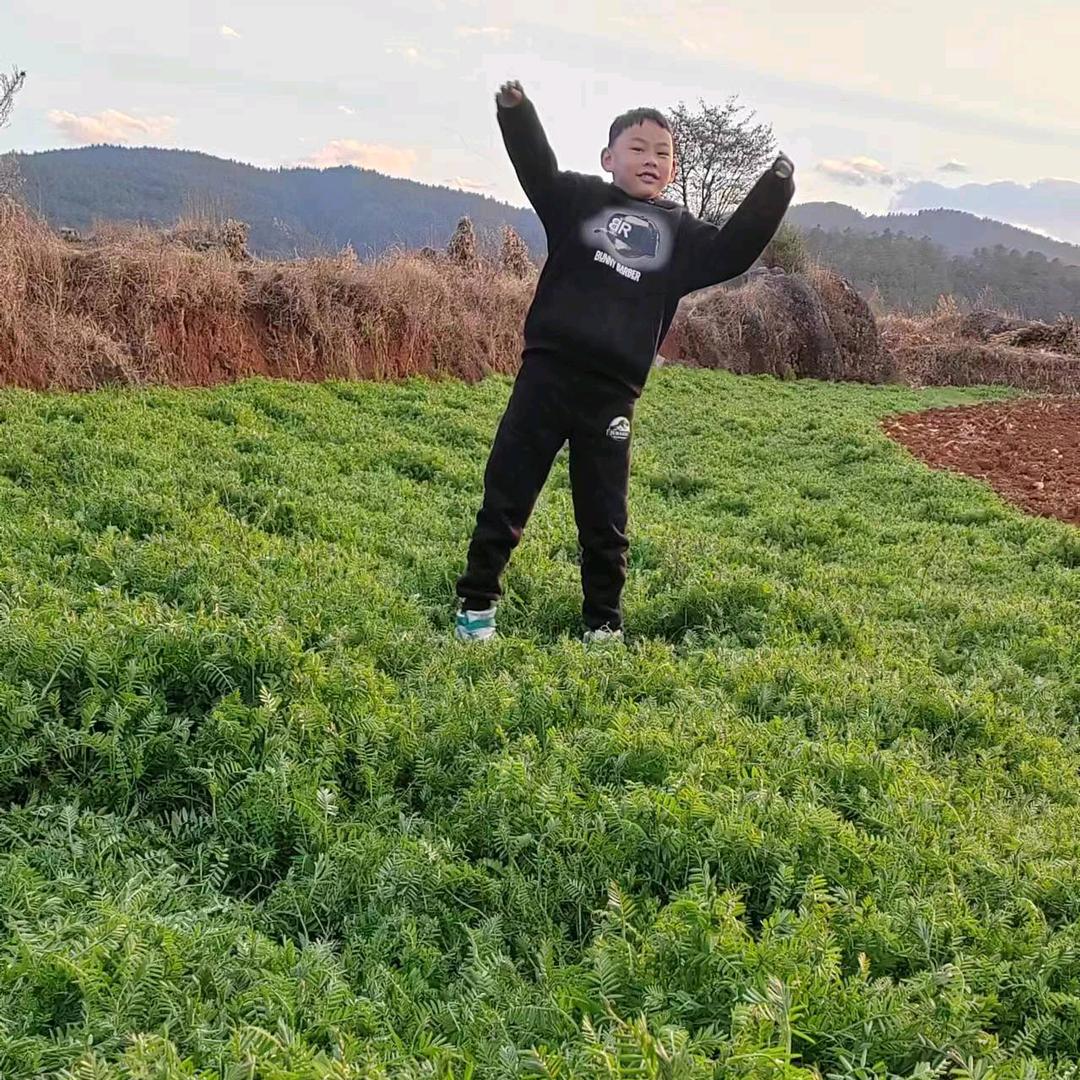 晨逸之光❤️❤️❤️