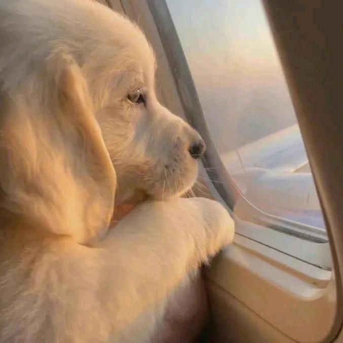南宸宸💞