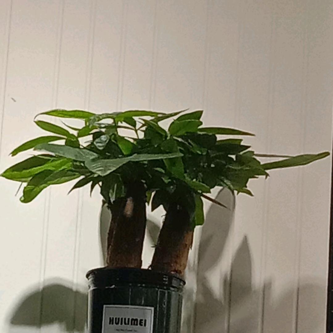 从此不谈感情，但求问心无愧👌