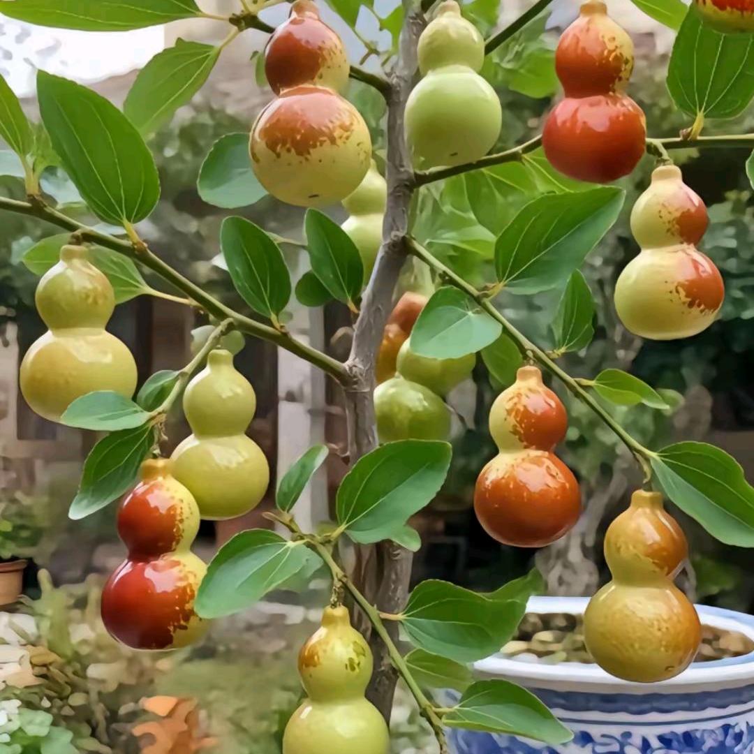 抖音足球小游戏。