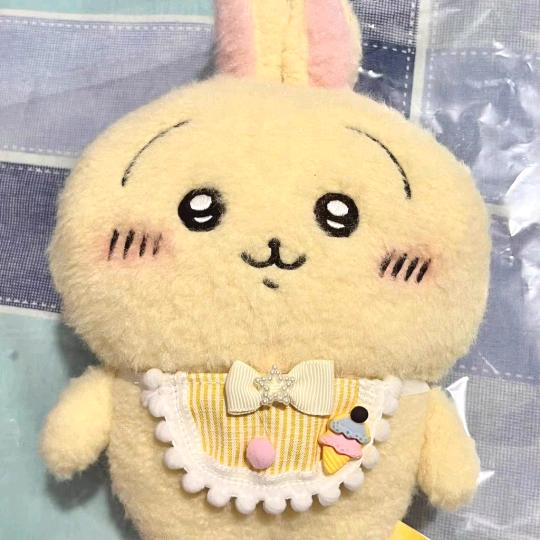 怯笙