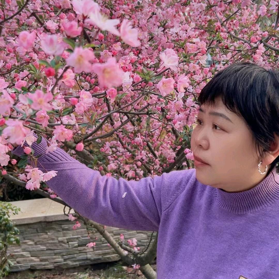 徐徐清风