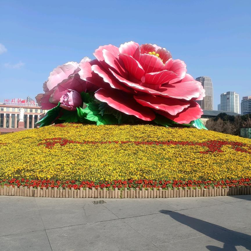 遗҉҉҈憾҉҉҈♡̶҉孤独ℳᥫᩣ