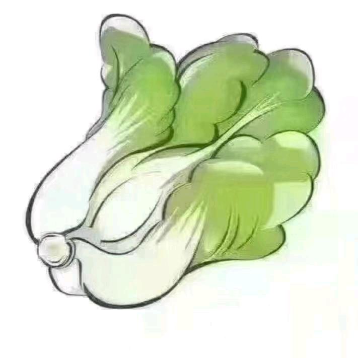 @大商集团宏哥