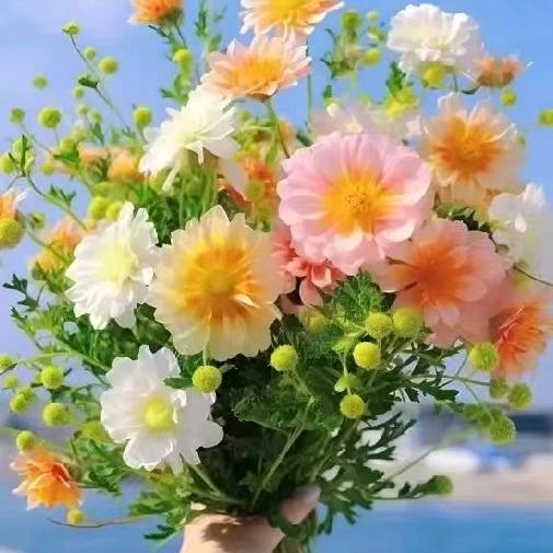 ꦾᩚ小幸꯭꯭💗⃟运ཀ້ྃ໌