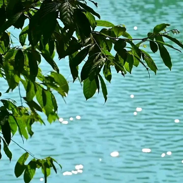 还好有你在