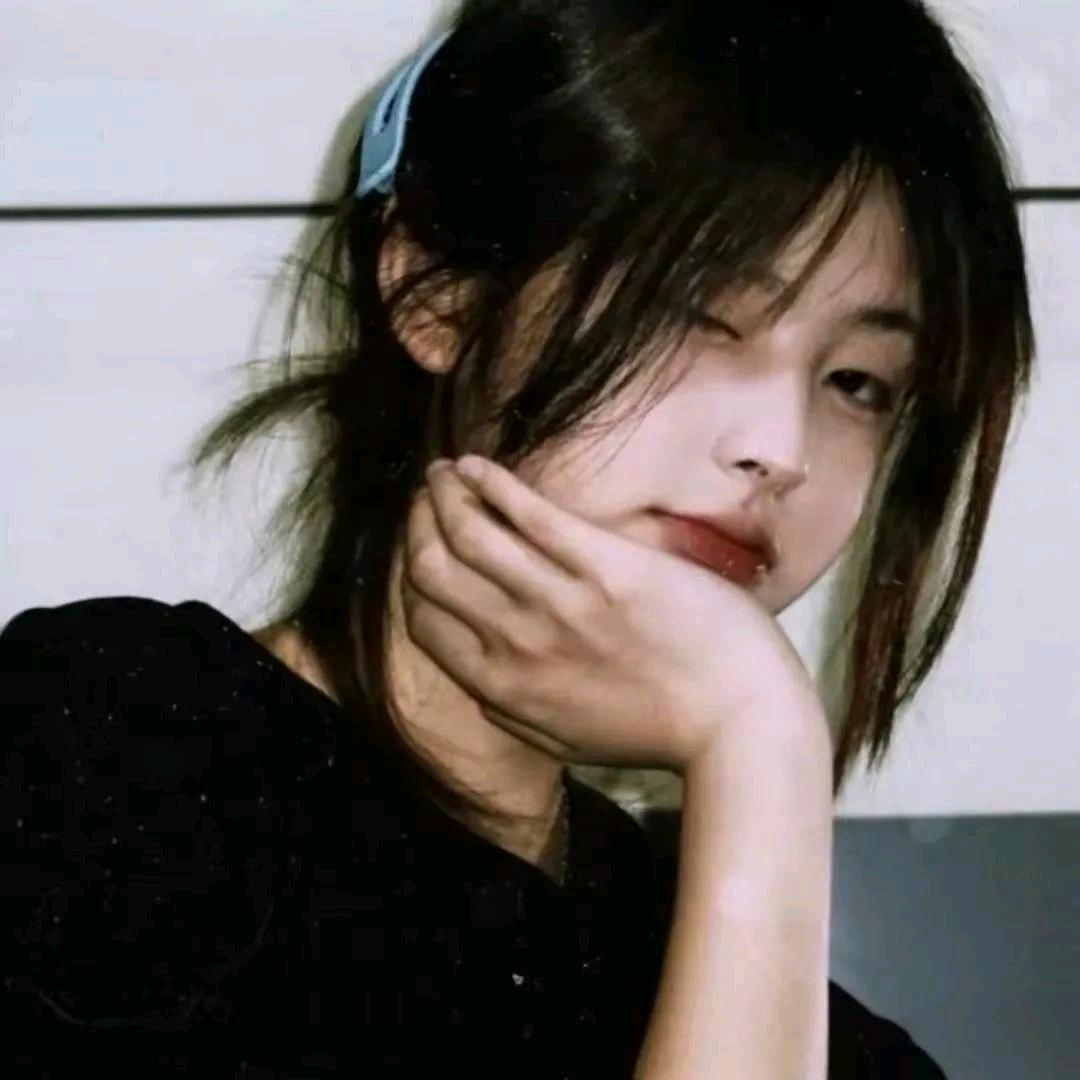 是乌鸫啊ᴴʸᵗ头像