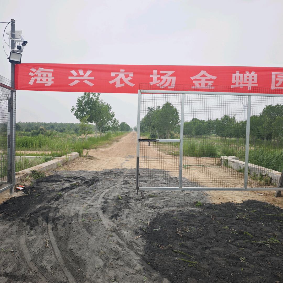 海兴农场金蝉园