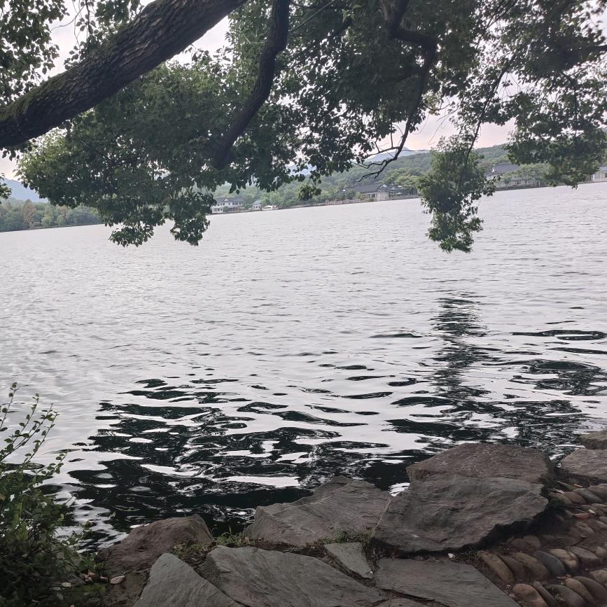 浅陌（阳楷南其）