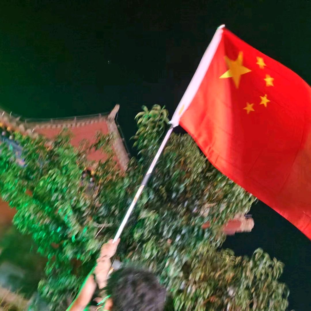 海里游泳的洋