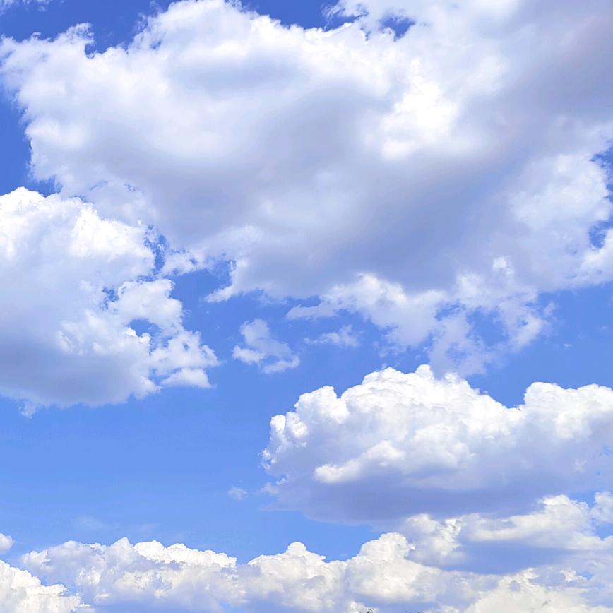 欺骗了世界的你✘