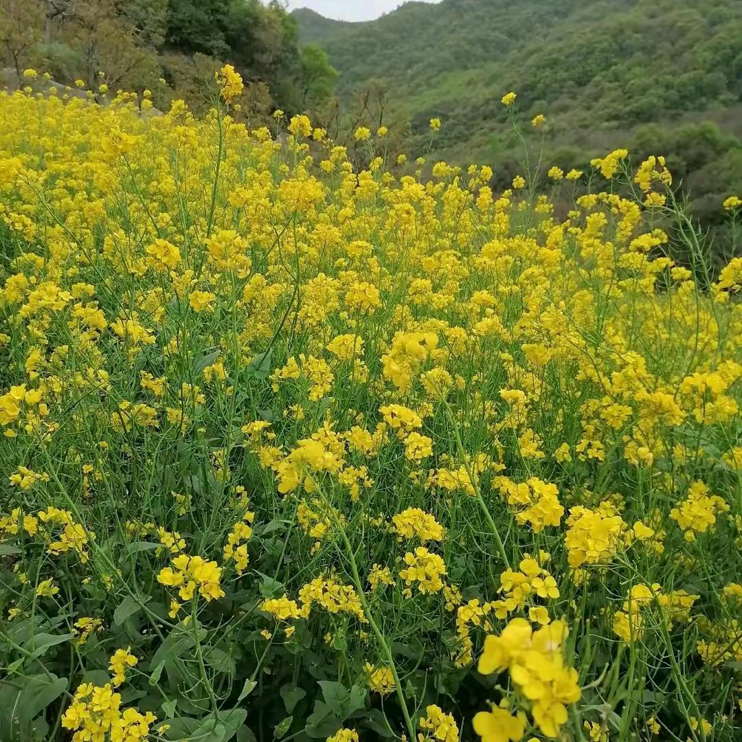 心的方向