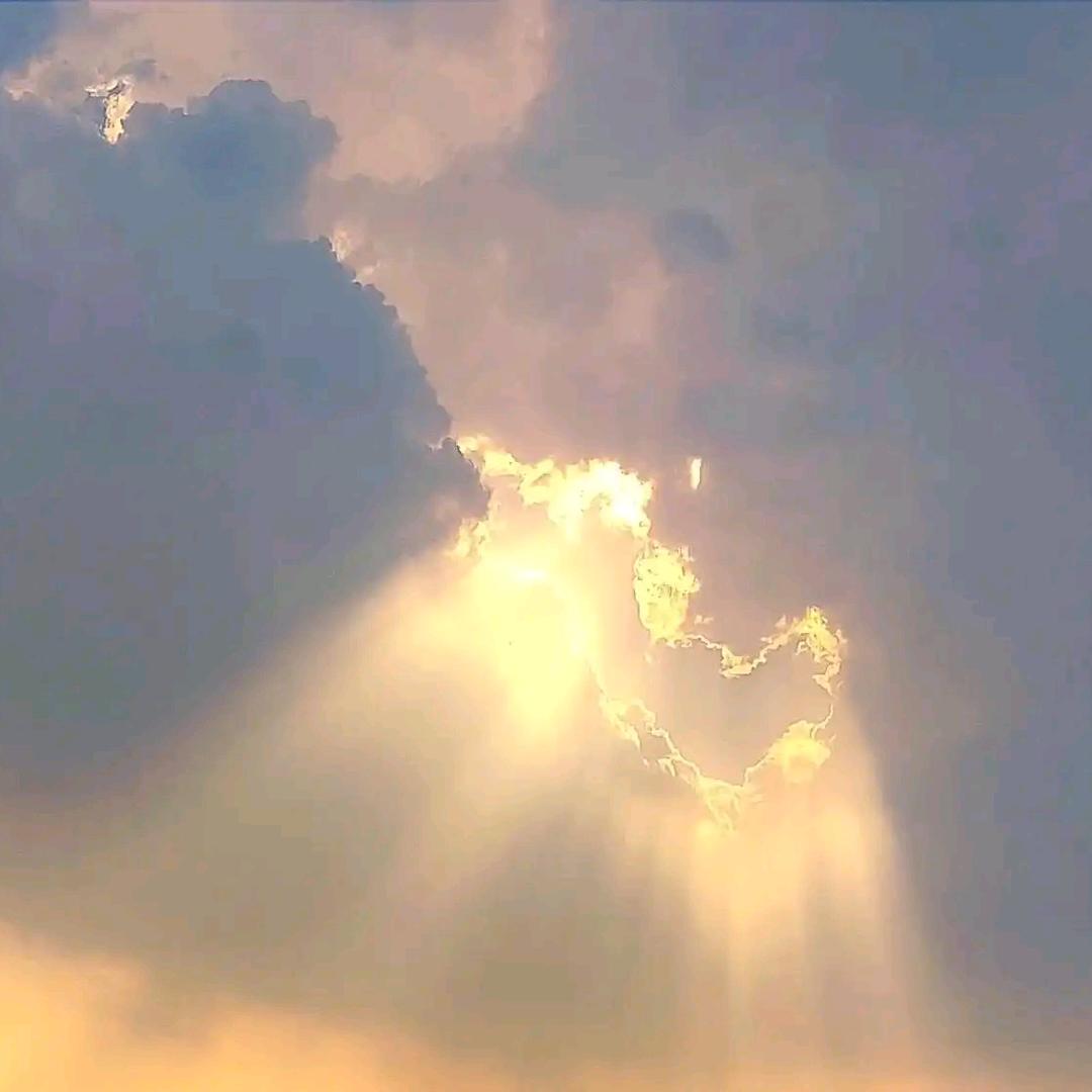 隅光✨