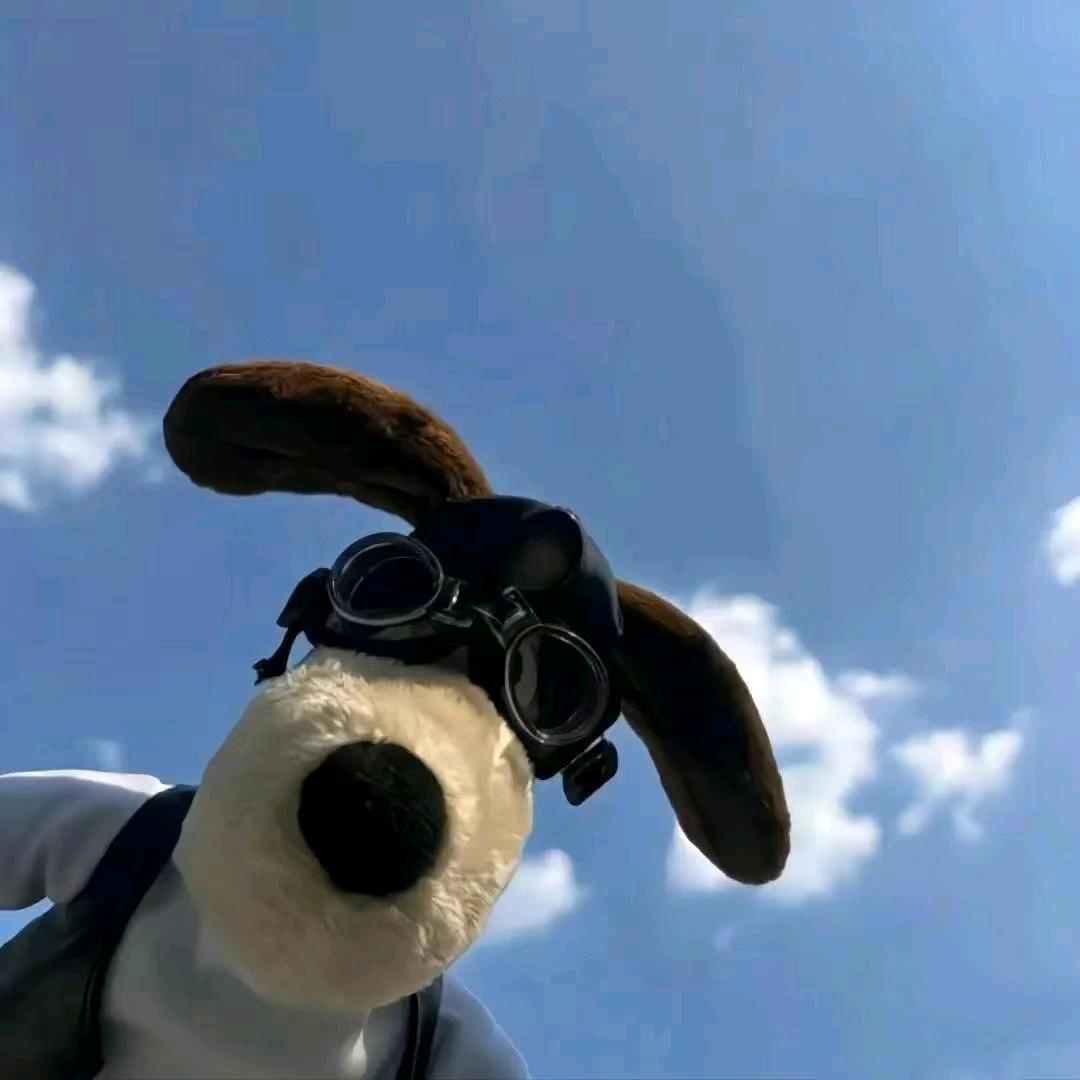 人生难题