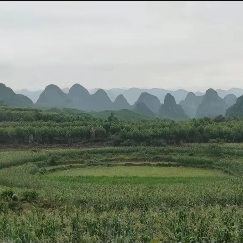 硕果丰盈