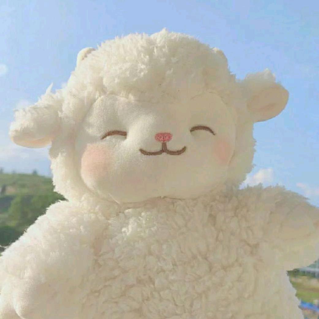 叫我十一🌟