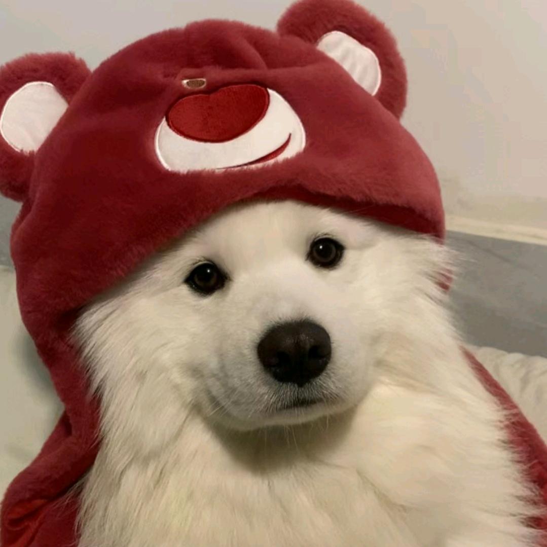 朝朝暮杰意.