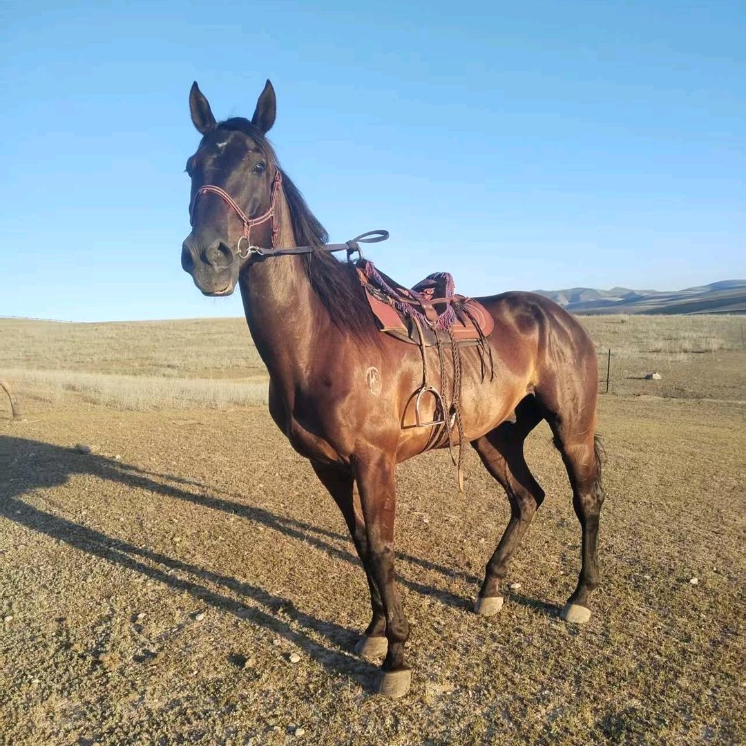 幸福的家庭👨‍👩‍👧‍👦