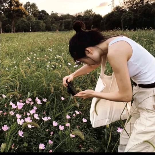 笨笨的头