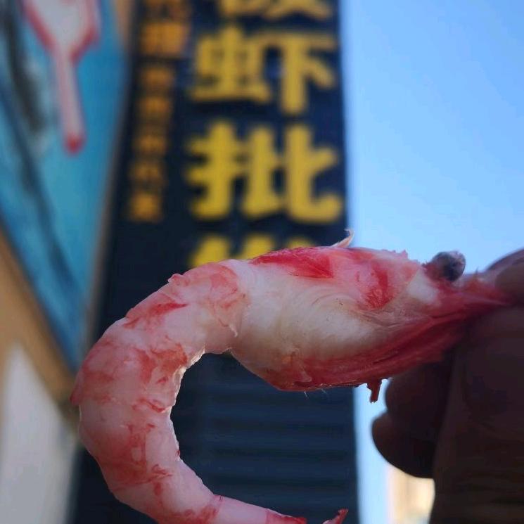 烟台宝旭商贸有限公司