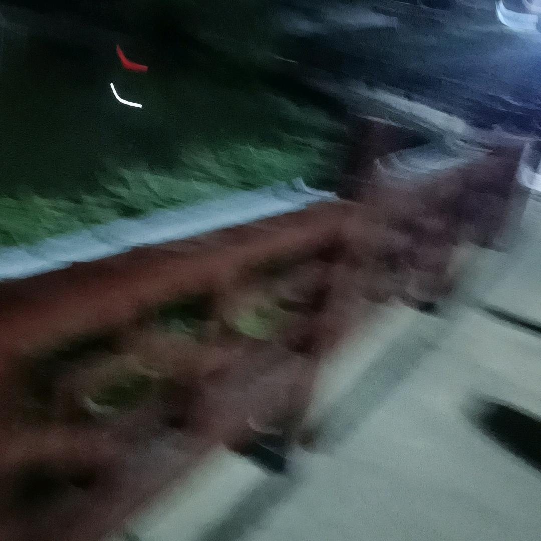 最爱