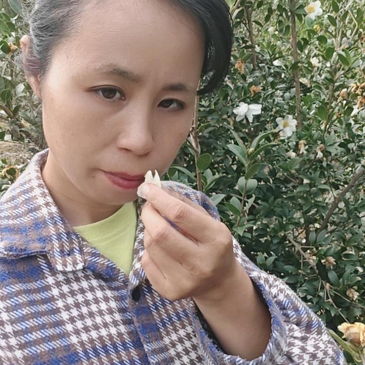 守护农村的小雨