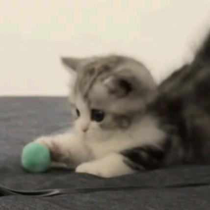 谷城县欢禧壹号百货工作室（个体工商户）