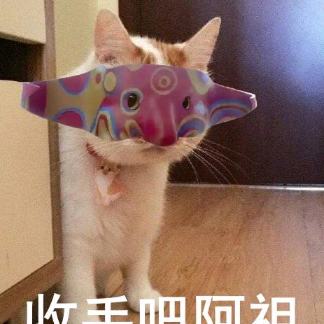 🌙 明月之光🌙