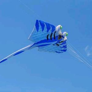 逆流而上的风筝