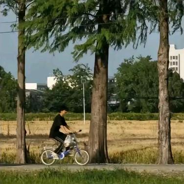 章鱼哥的菠萝堡