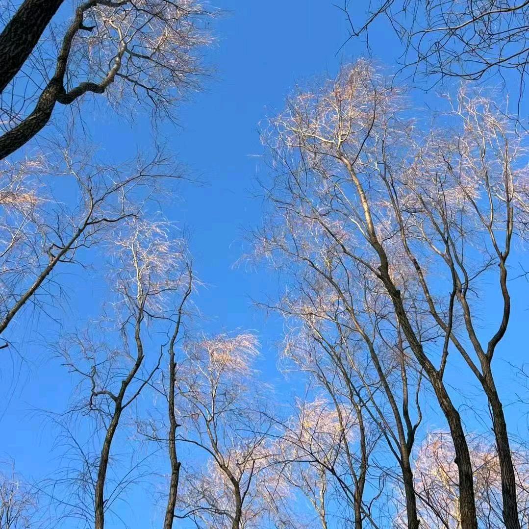 Liu