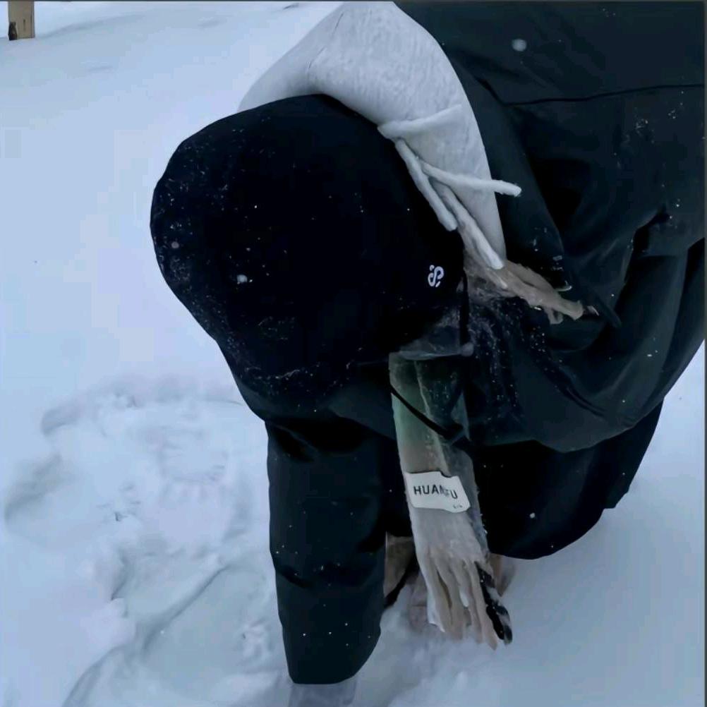 风继续吹，