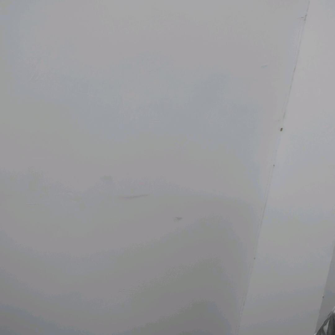 林冉.