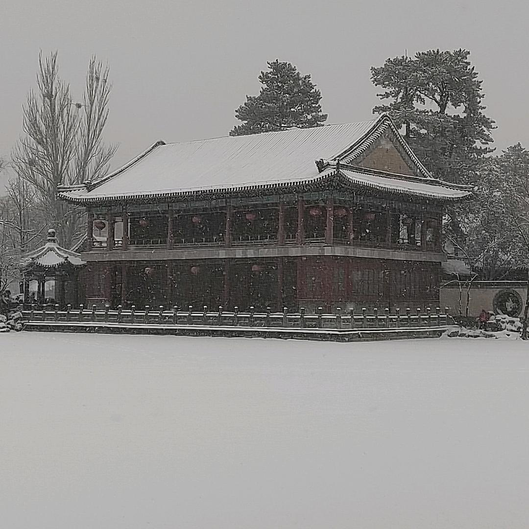 漂泊飞雪