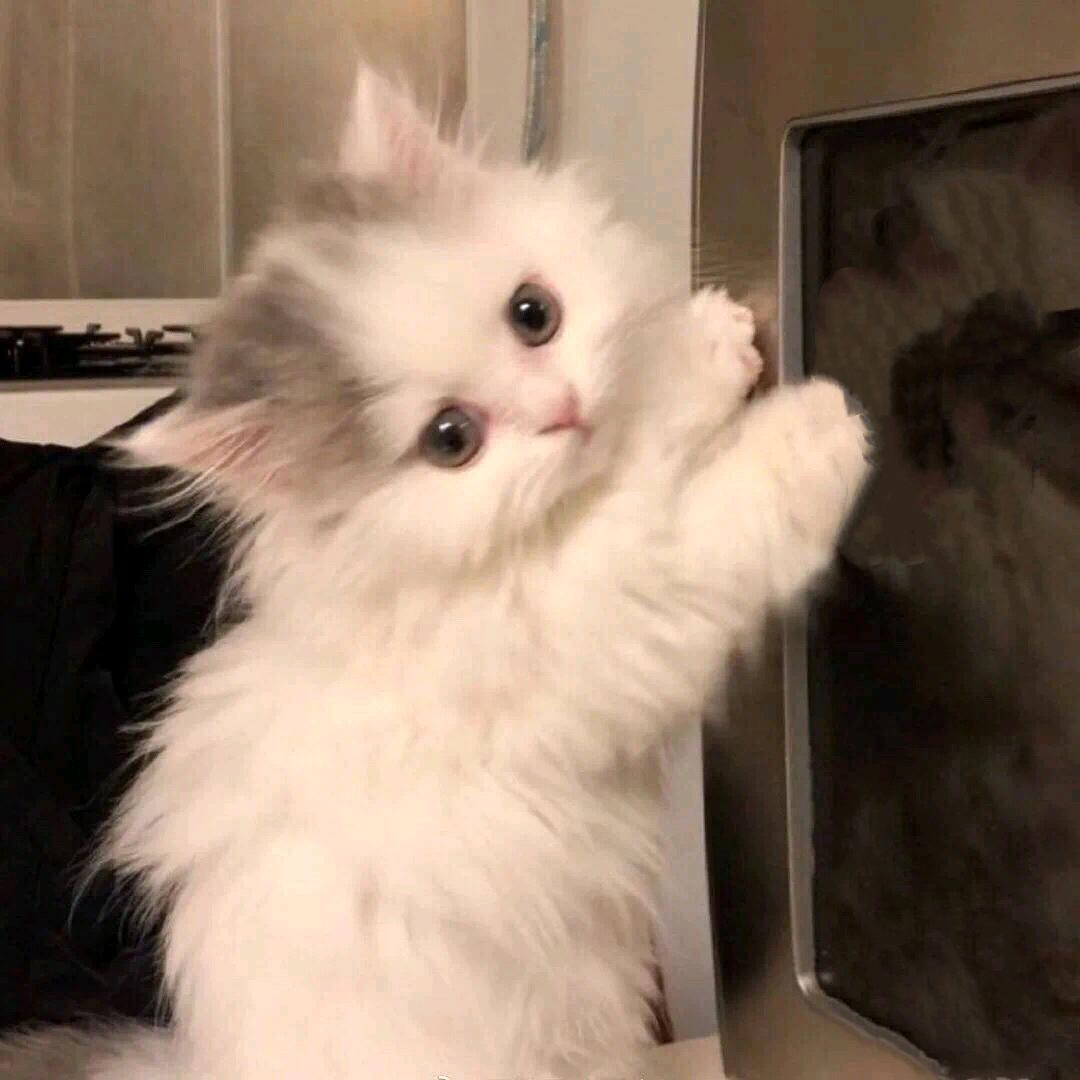晓柒悦