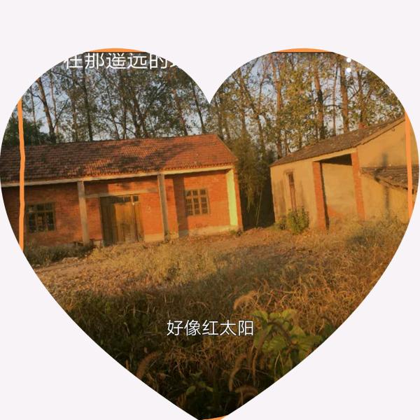 梁