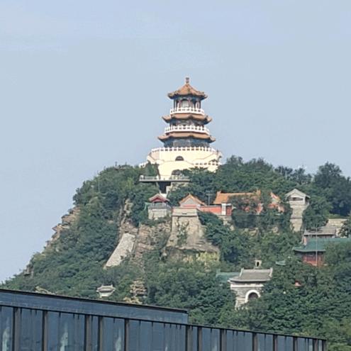 秋天的枫叶红了