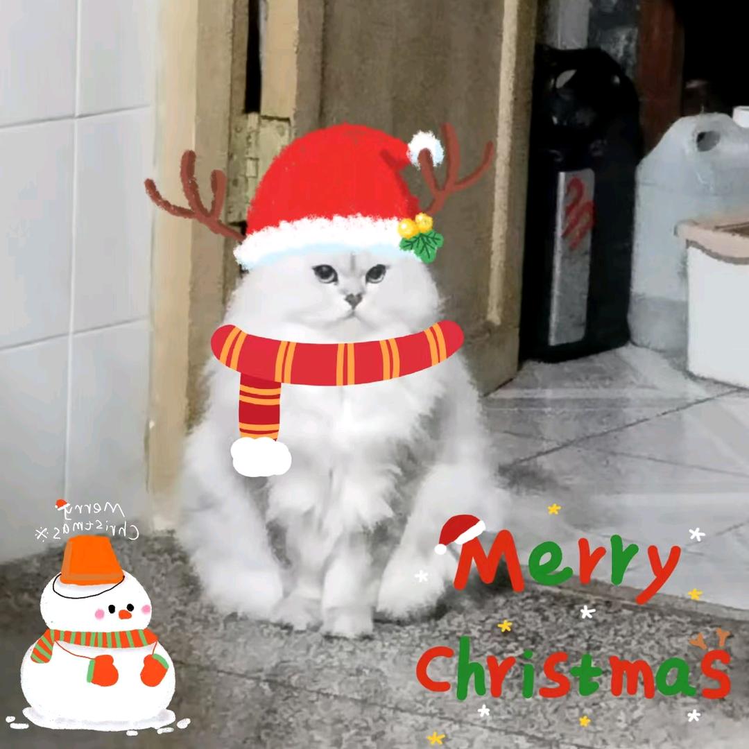 蘭
