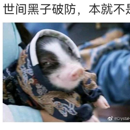 是个话唠呀
