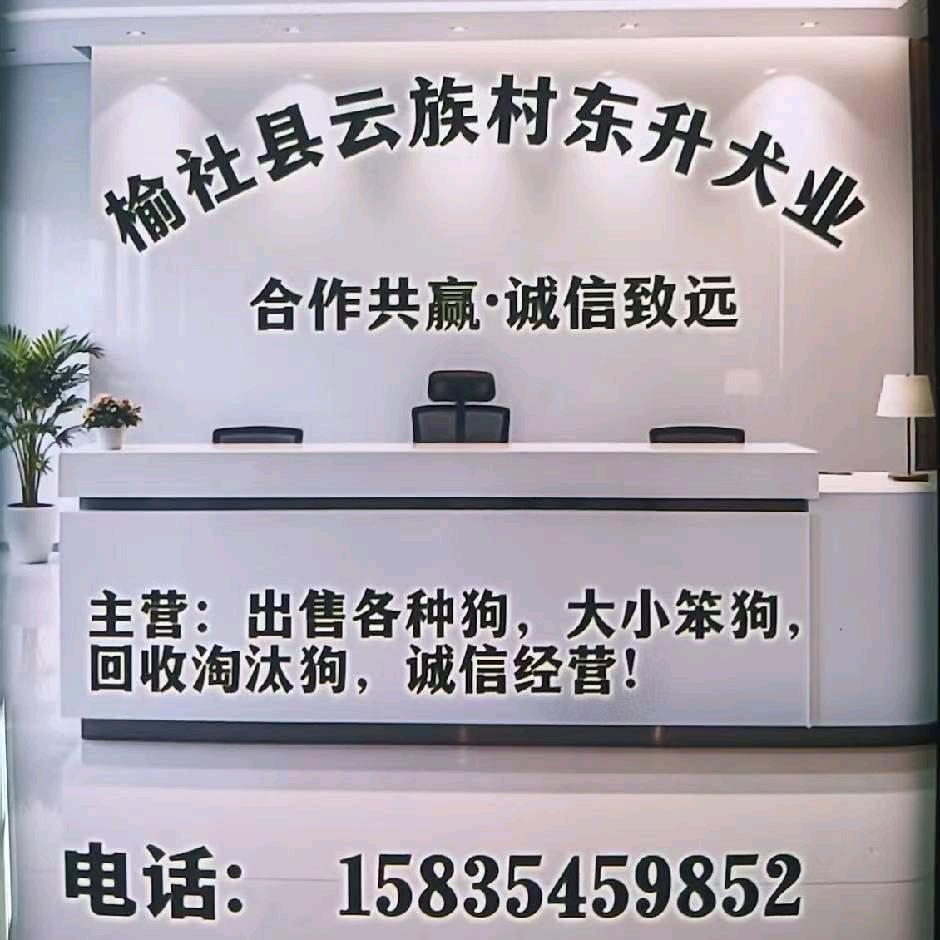 榆社～东升平民犬舍