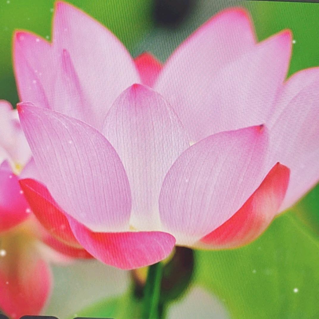 @般若-乙