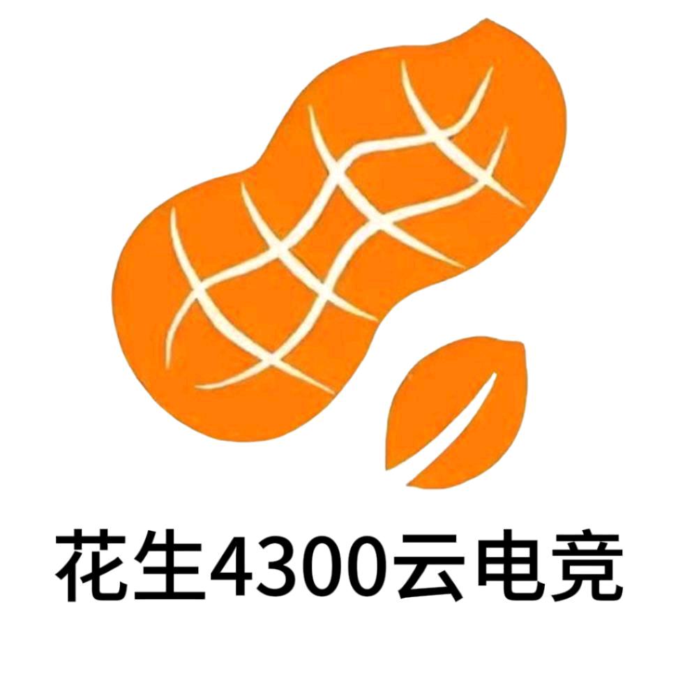 花生4300