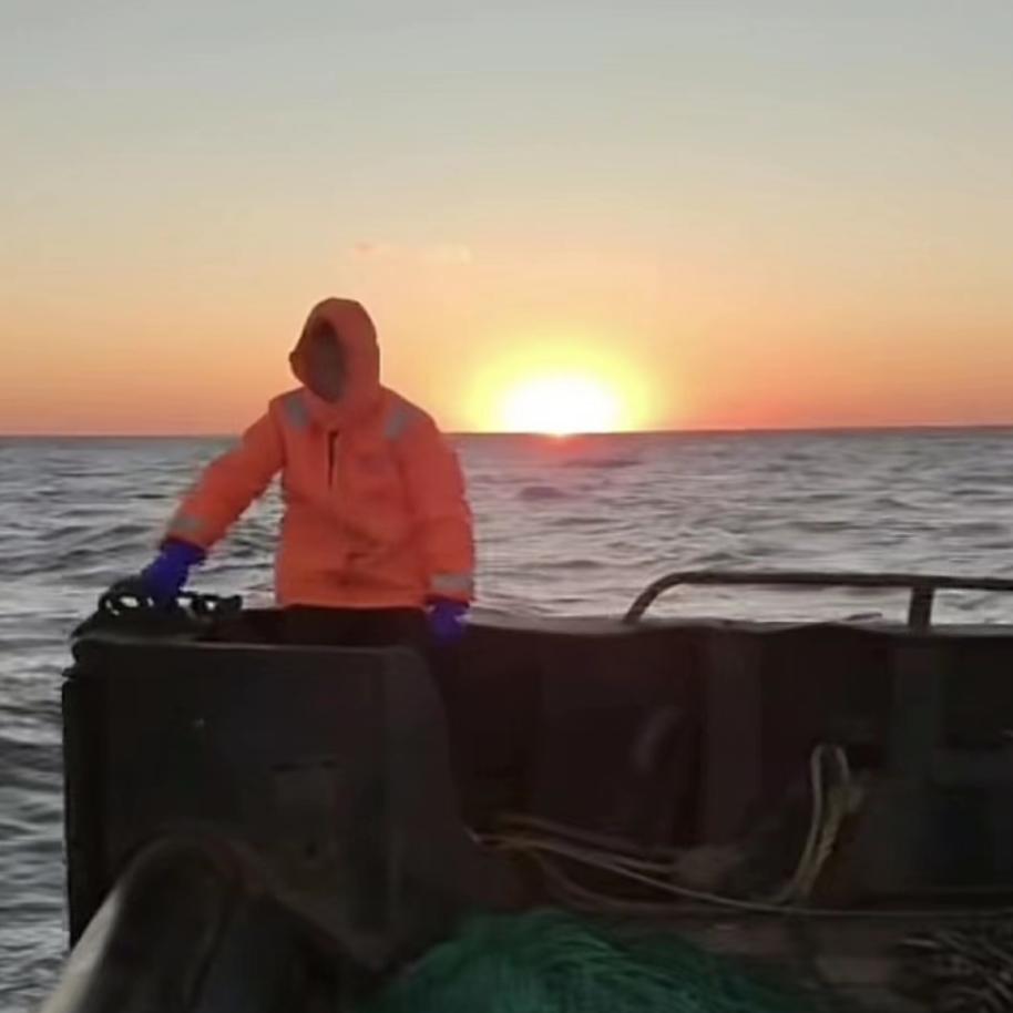 勇猛水产销售部