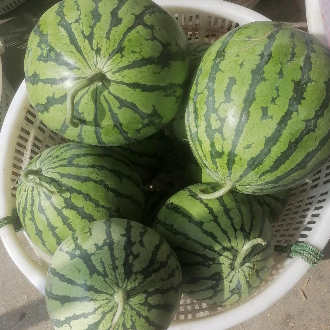 陈蒙所爱